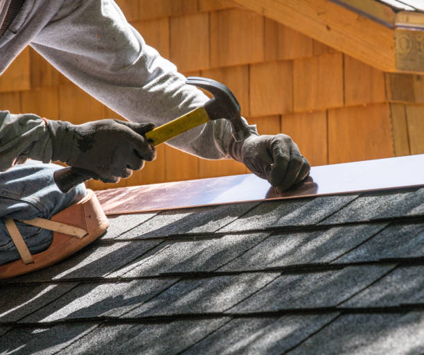 Best Gutter Installation and Roofing  in Wallace, NC